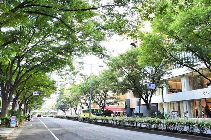 195820_06-01omotesandou_r